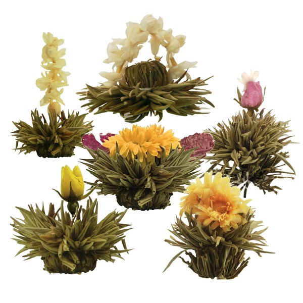 Tee Blumen Sortiment Creano mit 6 Tee Blumen "Weisser Tee"